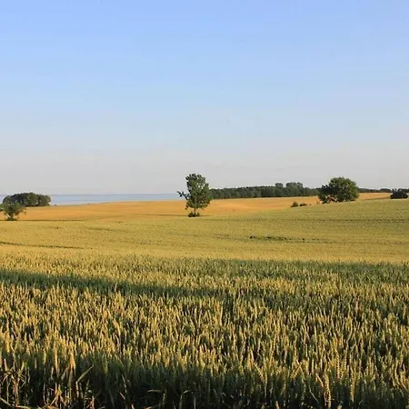 Togetherness Comfortable