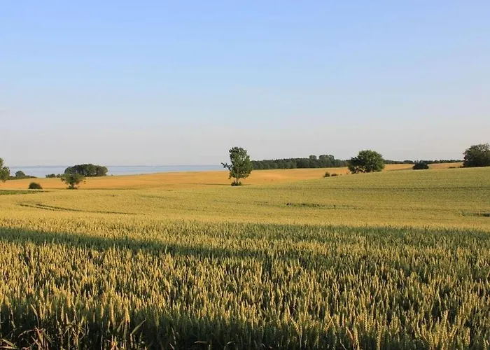 Togetherness Comfortable